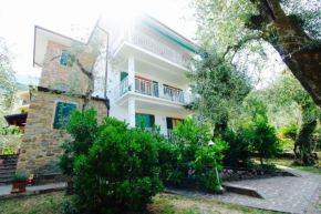 Large apartment in an olive trees garden